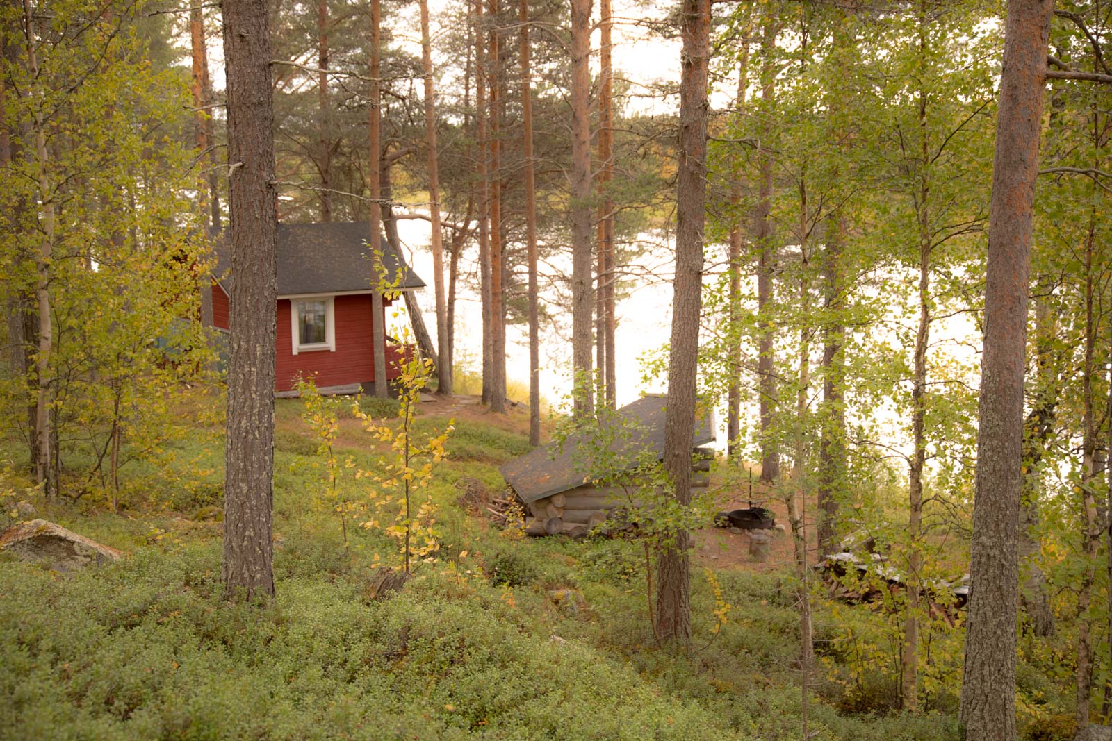 Sauna ja laavu Kemijoen rannalla